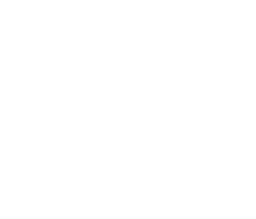 PICTURE PUNKS Logo