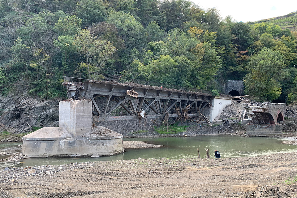 Kathrin im gegenlicht der Sonne, im Hintergrund sind Bäume.