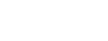 NZZ Logo